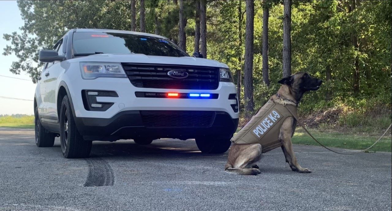 K9 Koda wearing new bullet-resistant vest sitting in front of patrol unit