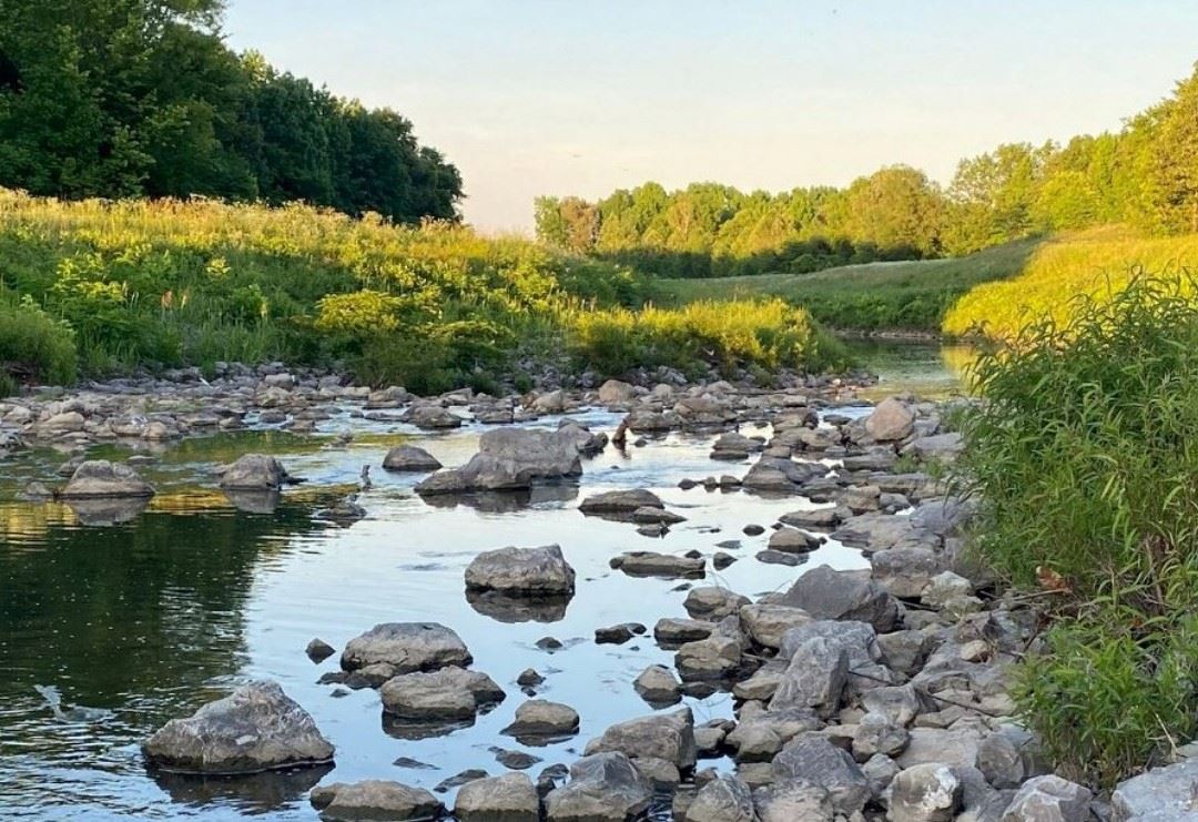 277772271_464272872153243_7425106124804991497_n